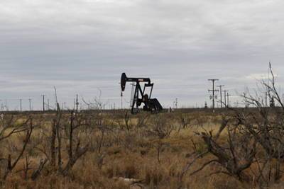 Алексей Коренев - Экономист рассказал о будущем России без нефти - lenta.ru - Россия