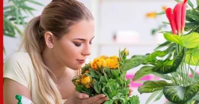 Цветут и пахнут: 8 комнатных растений с приятным ароматом для уюта в доме - profile.ru