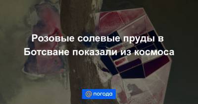 Тамара Песке - Анна Лысенко - Розовые солевые пруды в Ботсване показали из космоса - news.mail.ru - Франция - Ботсвана