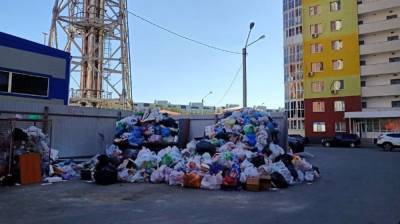 Воронежцы пожаловались на гору пакетов с мусором во дворе жилого дома - vestivrn.ru - Воронеж