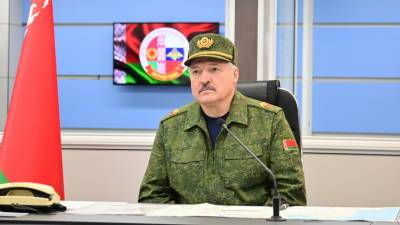 Александр Лукашенко - Лукашенко: у нас хватит ума, чтобы точечно разобраться с каждым мерзавцем - russian.rt.com - Белоруссия