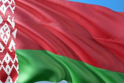 Александр Лукашенко - Андрей Зельцер - Белорусский генерал призвал мочить в сортире подобных убийце сотрудника КГБ - mk.ru - Белоруссия - Минск