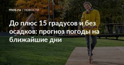 До плюс 15 градусов и без осадков: прогноз погоды на ближайшие дни - mos.ru - Москва