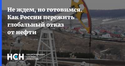 Александр Фролов - Не ждем, но готовимся. Как России пережить глобальный отказ от нефти - nsn.fm - Россия