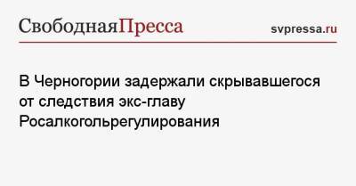 Дмитрий Медведев - В Черногории задержали скрывавшегося от следствия экс-главу Росалкогольрегулирования - svpressa.ru - Москва - Черногория