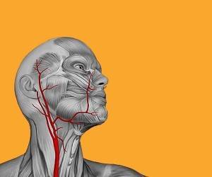 Как определить дефицит основных витаминов: 5 простых способов - goodnews.ua