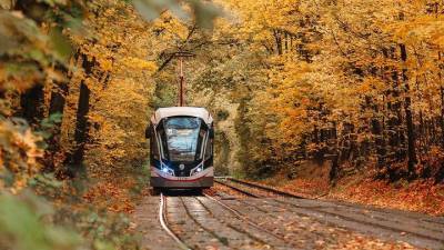 Ветреная и дождливая погода улучшила качество воздуха в Москве - vm.ru - Москва