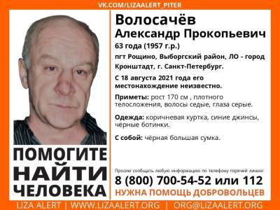 Элизабет Алерт - В Выборгском районе больше месяца ищут без вести пропавшего 63-летнего мужчину - ivbg.ru - Украина - Ленобласть