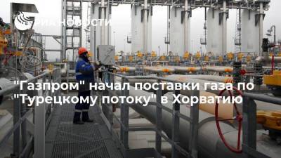Юрий Витренко - "Газпром" сообщил о начале поставок газа по "Турецкому потоку" в Хорватию - smartmoney.one - Россия - Украина - Киев - Венгрия - Хорватия - Будапешт