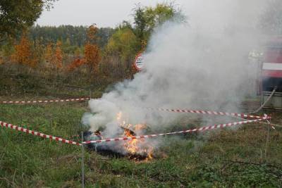 Учения по ликвидации чумы свиней прошли в Тульской области - tula.mk.ru - Рязанская обл. - Воронежская обл. - Тульская обл. - Липецкая обл. - Кимовск