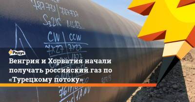 Венгрия и Хорватия начали получать российский газ по «Турецкому потоку» - ridus.ru - Россия - Украина - Киев - Венгрия - Болгария - Хорватия - Сербия - Будапешт