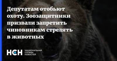 Депутатам отобьют охоту. Зоозащитники призвали запретить чиновникам стрелять в животных - nsn.fm - Россия
