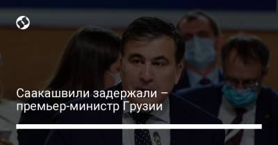 Михаил Саакашвили - Ираклий Гарибашвили - Саакашвили задержали – премьер-министр Грузии - liga.net - Украина - Грузия