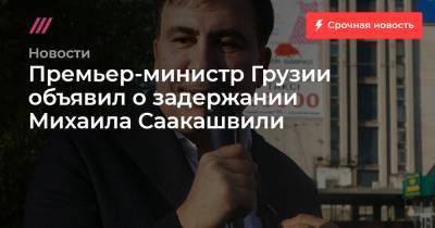 Михаил Саакашвили - Премьер-министр Грузии объявил о задержании Михаила Саакашвили - tvrain.ru - Украина - Грузия