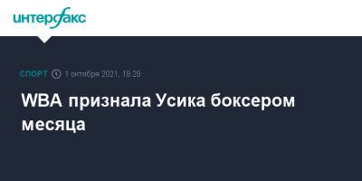 Александр Усик - WBA признала Усика боксером месяца - sport-interfax.ru - Москва - Лондон