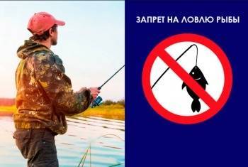 На Вологодчине стартовал осенний запрет на вылов рыбы - vologda-poisk.ru - Вологодская обл.