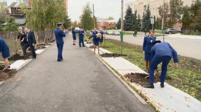 В Пензе сотрудники прокуратуры высадили 22 липы на улице Богданова - penzainform.ru - Россия - Пензенская обл. - Пенза