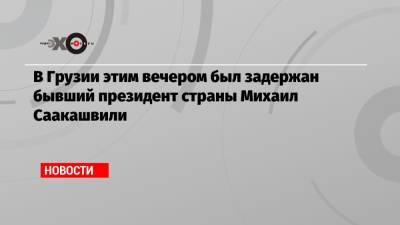 Михаил Саакашвили - Ираклий Гарибашвили - В Грузии этим вечером был задержан бывший президент страны Михаил Саакашвили - echo.msk.ru - Грузия - Тбилиси