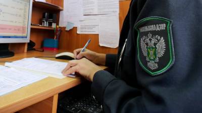 Россельхознадзор назвал фитосанитарные требования стран-импортеров при экспорте российской продукции - afanasy.biz - Россия - Россельхознадзор