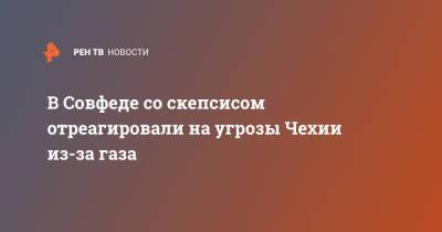В Совфеде со скепсисом отреагировали на угрозы Чехии из-за газа - ren.tv - Москва - Чехия