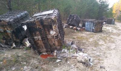 В Тюмени за садовым товарищество «Лесная поляна» устроили большую свалку - nashgorod.ru - Тюмень