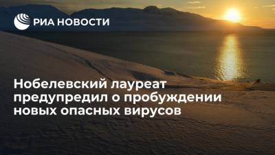Ученый Рае Квон Чунг: таяние льдов может привести к пробуждению новых опасных вирусов - ria.ru - Москва - Россия - Канада