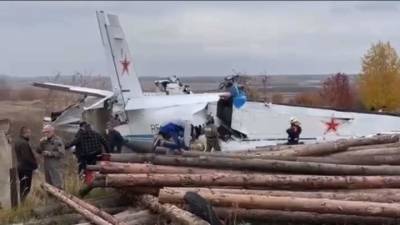 Семь человек спасли из рухнувшего в Татарстане самолета - vesti.ru - респ. Татарстан - Мензелинск
