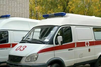 В Татарстане при крушении лёгкого самолёта L-410 погибли люди - pnp.ru - Московская обл. - респ. Татарстан - Мензелинск