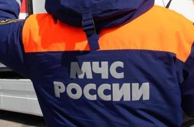 В результате крушении самолета L-410 в Татарстане погибли 16 человек - argumenti.ru - респ. Татарстан - Мензелинск