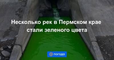 Анна Лысенко - Несколько рек в Пермском крае стали зеленого цвета - news.mail.ru - Пермь - Пермский край
