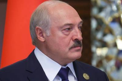 Александр Лукашенко - В ФРГ проверят причастность Лукашенко к перевозке нелегальных мигрантов - lenta.ru - Белоруссия - Германия - Ирак - Эмираты - Ливан - Бейрут