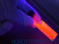 «COVID-19 мало»: США проводят опаснейшие опыты с вирусами у границ Крыма - novostidnya24.ru - США - Украина - Крым - Болгария - Херсонская обл.