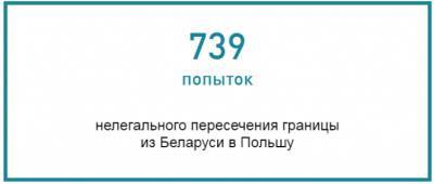 На белорусско-польской границе выявили рекордное число мигрантов - udf.by - Грузия - Ирак - Польша - Twitter