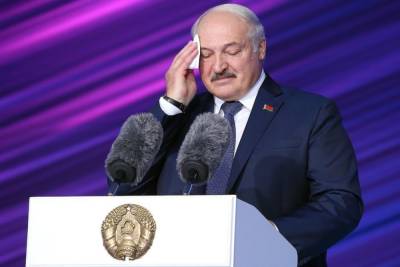 Александр Лукашенко - Bild: на Лукашенко завели дело о въезде нелегалов в Германию - mk.ru - Белоруссия - Германия - Польша - Минск