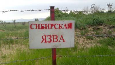 В Украине зафиксировали сибирскую язву, введен карантин - sharij.net - Украина - Тернополь