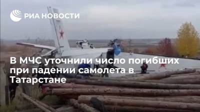 В МЧС заявили, что при падении самолета в Татарстане погибли 15 человек - ria.ru - Москва - респ. Татарстан