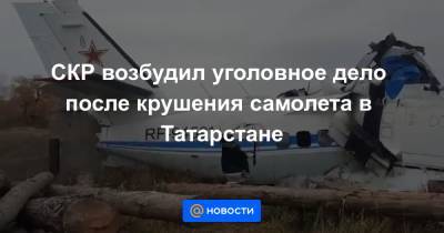 СКР возбудил уголовное дело после крушения самолета в Татарстане - news.mail.ru - Москва - Россия - респ. Татарстан - Набережные Челны - Казань