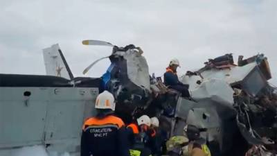 Причиной авиакатастрофы в Татарстане могла стать попавшая в двигатель птица - sharij.net - респ. Татарстан - район Мензелинский