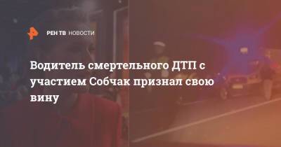 Ксения Собчак - Водитель смертельного ДТП с участием Собчак признал свою вину - ren.tv - Краснодарский край - Адлер