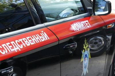 Пилоты разбившегося в Татарстане самолета были очень опытные - эксперт - infox.ru - респ. Татарстан