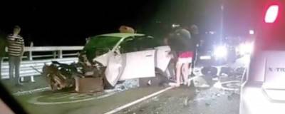 Ксения Собчак - Водитель Mercedes, попавший в смертельное ДТП в Сочи, полностью признал свою вину - runews24.ru - Сочи - Краснодарский край - Адлер