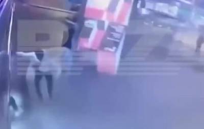 В Москве женщина во время драки упала под автобус. 18+ - korrespondent.net - Москва - Россия - Украина