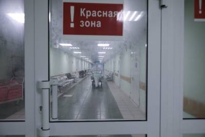 Татьяна Руженцова - Врачи рассказали, в каком случае пациент легче и быстрее перенесет коронавирус - vm.ru - Москва
