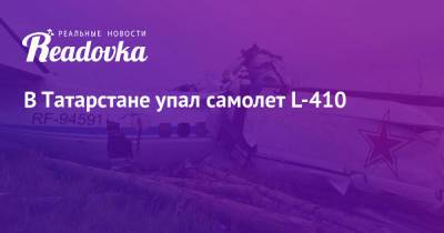 В Татарстане упал самолет L-410 - readovka.news - респ. Татарстан - Мензелинск