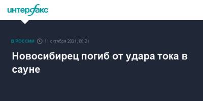 Новосибирец погиб от удара тока в сауне - interfax.ru - Москва - Россия - Новосибирск - район Центральный, Новосибирск