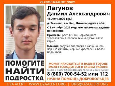 15-летнего подростка разыскивают на Бору - vgoroden.ru - Нижегородская обл.