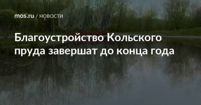 Благоустройство Кольского пруда завершат до конца года - mos.ru - Москва - Благоустройство