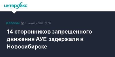 14 сторонников запрещенного движения АУЕ задержали в Новосибирске - interfax.ru - Москва - Россия - Новосибирск