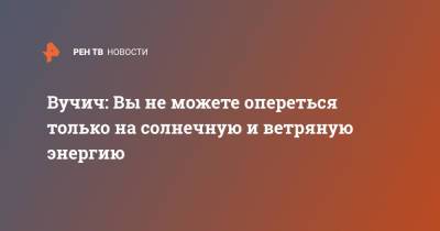 Сергей Лавров - Александр Вучич - Вучич: Вы не можете опереться только на солнечную и ветряную энергию - ren.tv - Россия - Сербия - Белград - Европа