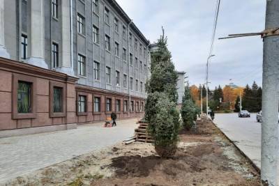 У «Серого дома» УФСБ России по Омской области высадили 15 молодых елей - omsk.mk.ru - Россия - Омск - Омская обл.